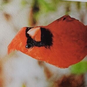 4x6 Northern Red Cardinal Bird Oil Painting Art‎ Print